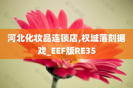 河北化妆品连锁店,权域落刻据戏_EEF版RE35