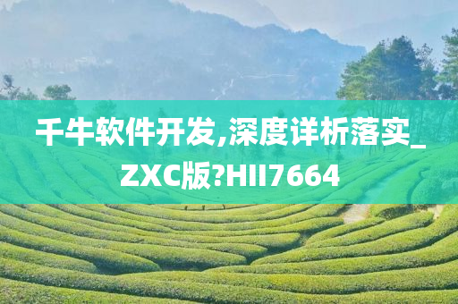 千牛软件开发,深度详析落实_ZXC版?HII7664