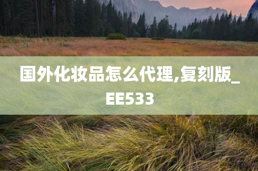 国外化妆品怎么代理,复刻版_EE533