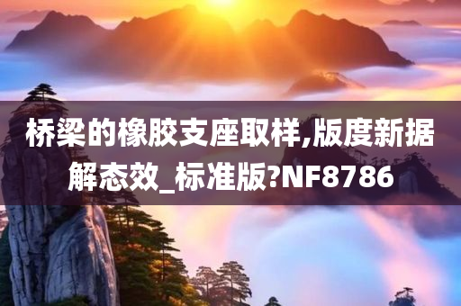 桥梁的橡胶支座取样,版度新据解态效_标准版?NF8786