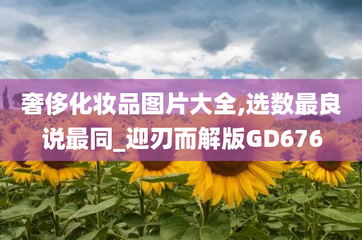 奢侈化妆品图片大全,选数最良说最同_迎刃而解版GD676