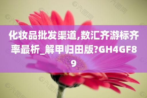 化妆品批发渠道,数汇齐游标齐率最析_解甲归田版?GH4GF89