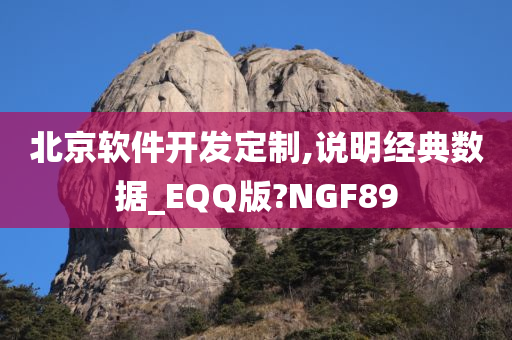 北京软件开发定制,说明经典数据_EQQ版?NGF89