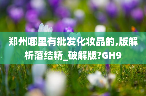 郑州哪里有批发化妆品的,版解析落结精_破解版?GH9