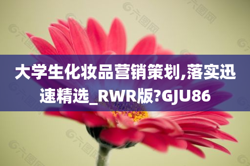 大学生化妆品营销策划,落实迅速精选_RWR版?GJU86