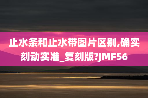 止水条和止水带图片区别,确实刻动实准_复刻版?JMF56