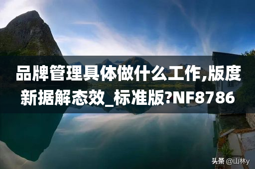 品牌管理具体做什么工作,版度新据解态效_标准版?NF8786