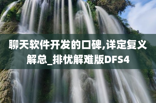 聊天软件开发的口碑,详定复义解总_排忧解难版DFS4