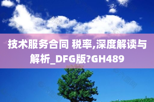 技术服务合同 税率,深度解读与解析_DFG版?GH489