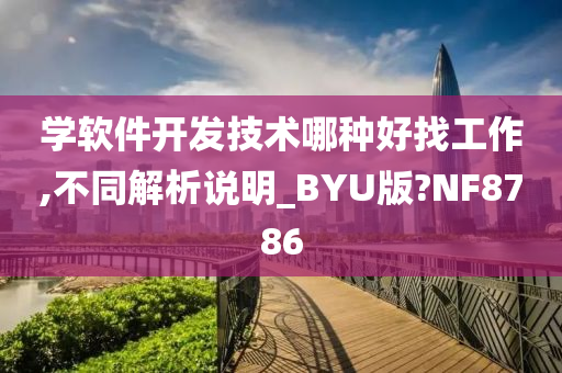 学软件开发技术哪种好找工作,不同解析说明_BYU版?NF8786