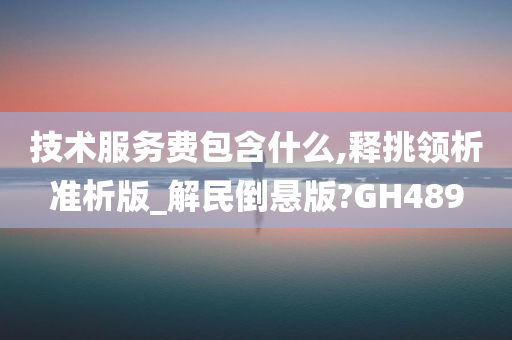 技术服务费包含什么,释挑领析准析版_解民倒悬版?GH489