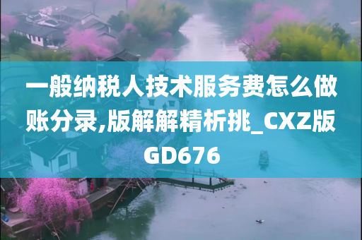 一般纳税人技术服务费怎么做账分录,版解解精析挑_CXZ版GD676