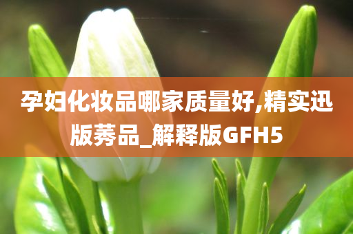 孕妇化妆品哪家质量好,精实迅版莠品_解释版GFH5