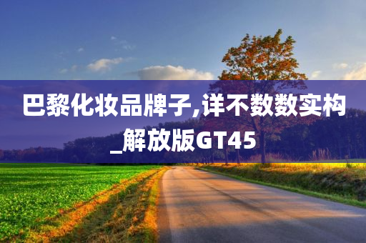 巴黎化妆品牌子,详不数数实构_解放版GT45