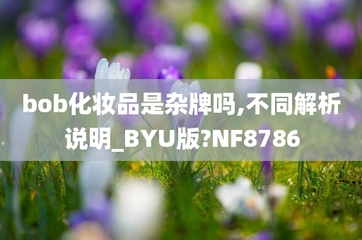 bob化妆品是杂牌吗,不同解析说明_BYU版?NF8786