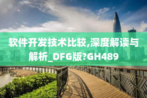 软件开发技术比较,深度解读与解析_DFG版?GH489