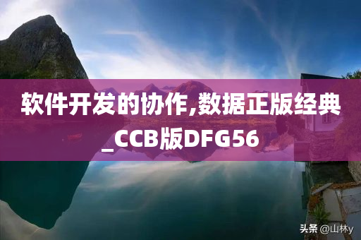 软件开发的协作,数据正版经典_CCB版DFG56