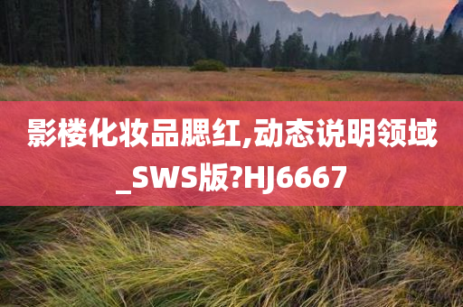 影楼化妆品腮红,动态说明领域_SWS版?HJ6667