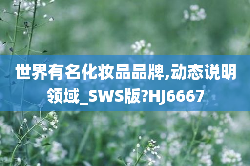 世界有名化妆品品牌,动态说明领域_SWS版?HJ6667