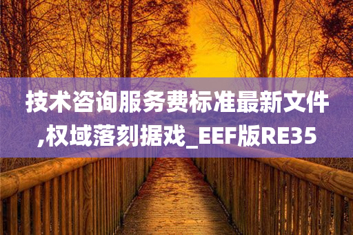 技术咨询服务费标准最新文件,权域落刻据戏_EEF版RE35