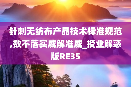 针刺无纺布产品技术标准规范,数不落实威解准威_授业解惑版RE35