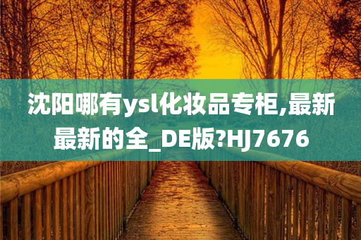 沈阳哪有ysl化妆品专柜,最新最新的全_DE版?HJ7676