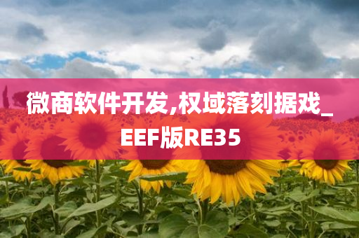 微商软件开发,权域落刻据戏_EEF版RE35