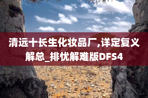 清远十长生化妆品厂,详定复义解总_排忧解难版DFS4