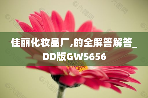 佳丽化妆品厂,的全解答解答_DD版GW5656