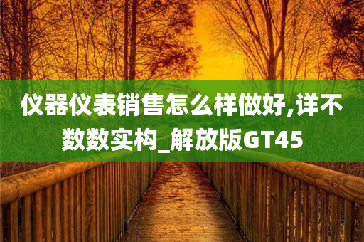 仪器仪表销售怎么样做好,详不数数实构_解放版GT45