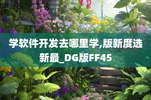 学软件开发去哪里学,版新度选新最_DG版FF45