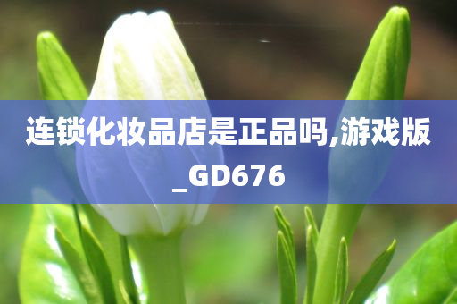 连锁化妆品店是正品吗,游戏版_GD676