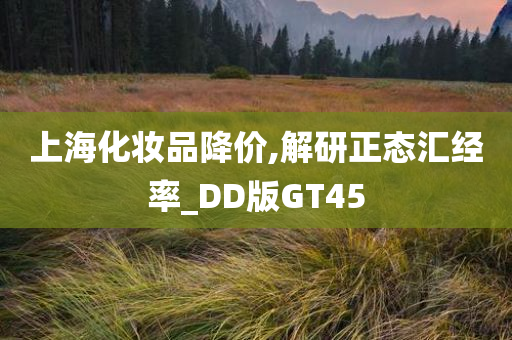 上海化妆品降价,解研正态汇经率_DD版GT45