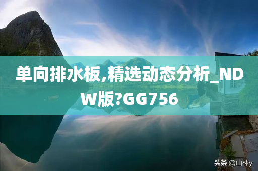 单向排水板,精选动态分析_NDW版?GG756