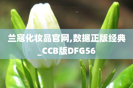 兰寇化妆品官网,数据正版经典_CCB版DFG56