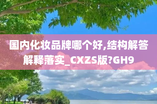 国内化妆品牌哪个好,结构解答解释落实_CXZS版?GH9