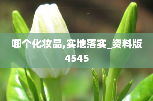 哪个化妆品,实地落实_资料版4545