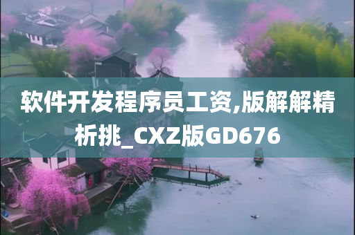 软件开发程序员工资,版解解精析挑_CXZ版GD676