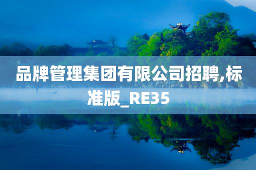 品牌管理集团有限公司招聘,标准版_RE35