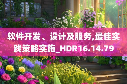 软件开发、设计及服务,最佳实践策略实施_HDR16.14.79