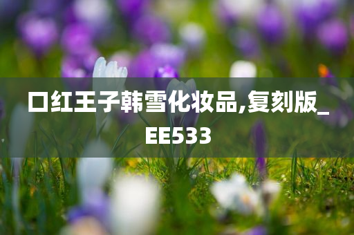 口红王子韩雪化妆品,复刻版_EE533