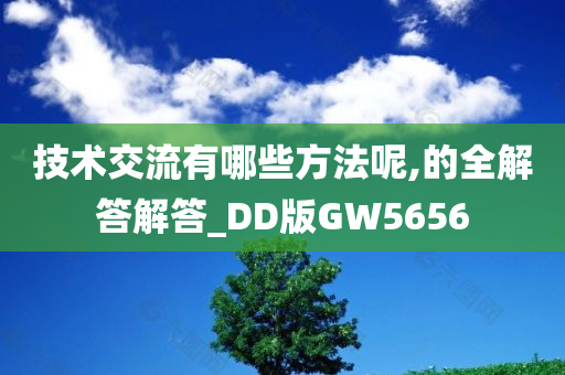 技术交流有哪些方法呢,的全解答解答_DD版GW5656