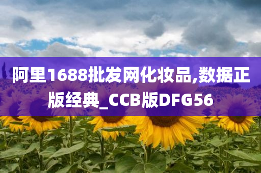 阿里1688批发网化妆品,数据正版经典_CCB版DFG56