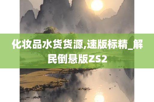 化妆品水货货源,速版标精_解民倒悬版ZS2