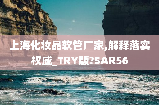 上海化妆品软管厂家,解释落实权威_TRY版?SAR56