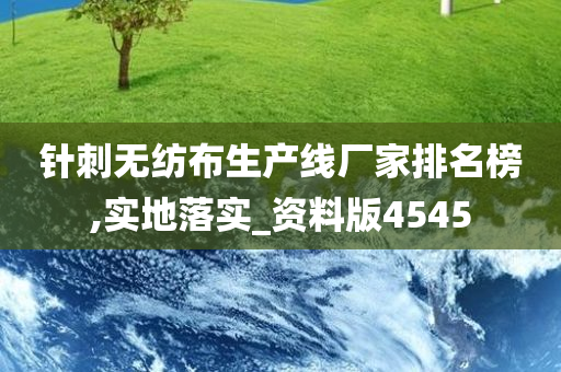 针刺无纺布生产线厂家排名榜,实地落实_资料版4545