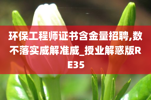 环保工程师证书含金量招聘,数不落实威解准威_授业解惑版RE35