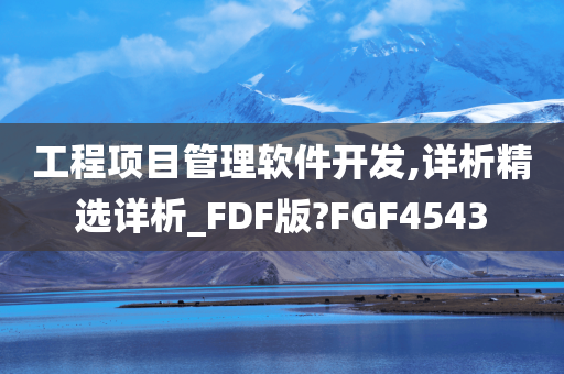 工程项目管理软件开发,详析精选详析_FDF版?FGF4543