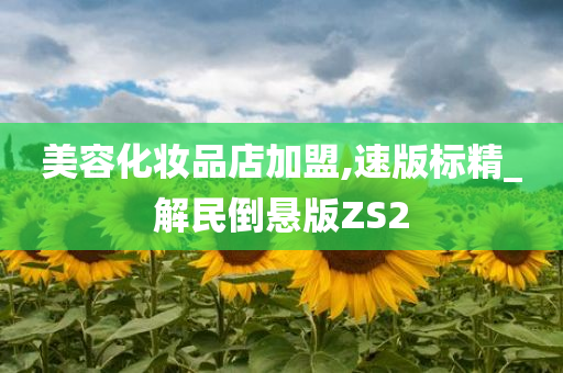 美容化妆品店加盟,速版标精_解民倒悬版ZS2