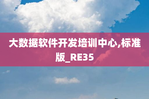 大数据软件开发培训中心,标准版_RE35